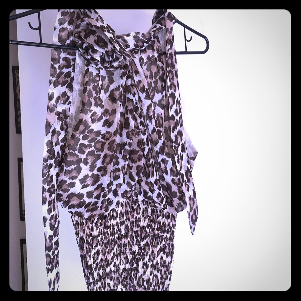 Leopard halter